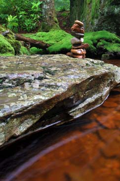 Lone Cairn - Otter Creek - Monongahela NF, West Virginia