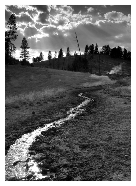 Old Faithful on Stormy Day - Yellowstone National Park, Wyoming