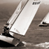 Sailing the Bay on a Windy Day - San Francisco, California